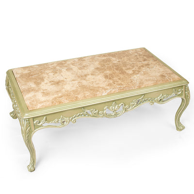 Louis XV style living room with flower bouquet back (5 pieces)